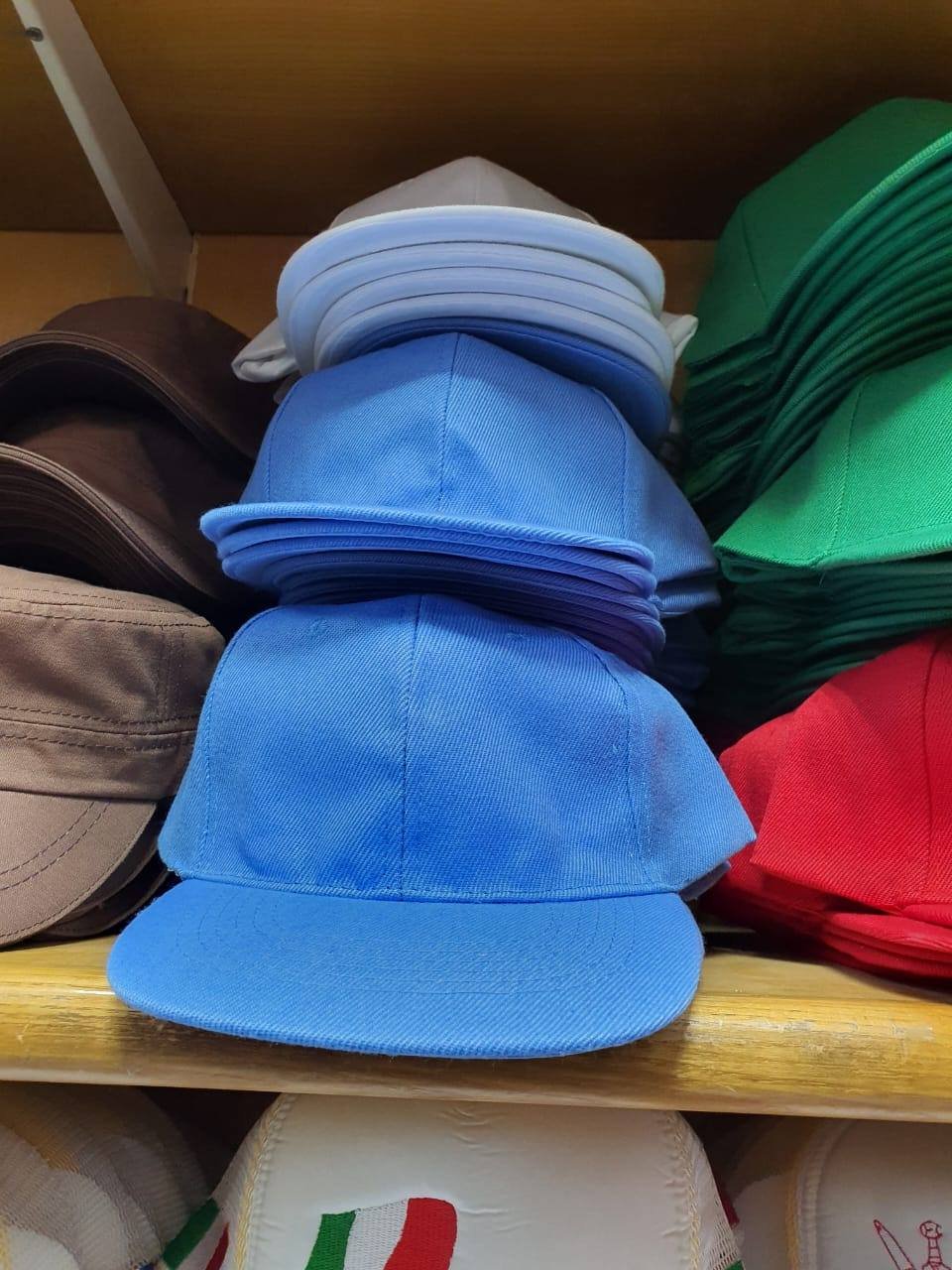 6 Panel Caps