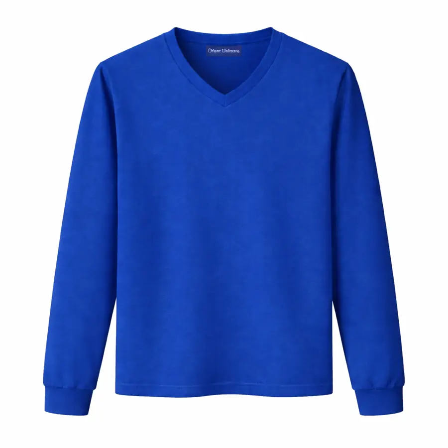 Royal Blue V Neck T Shirt UAE